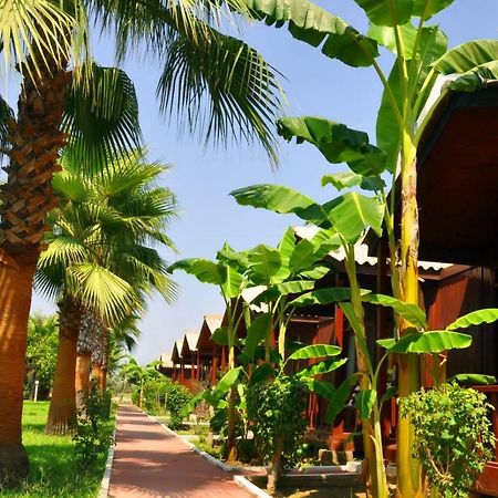 Dream Park Bungalow Titreyengol Esterno foto