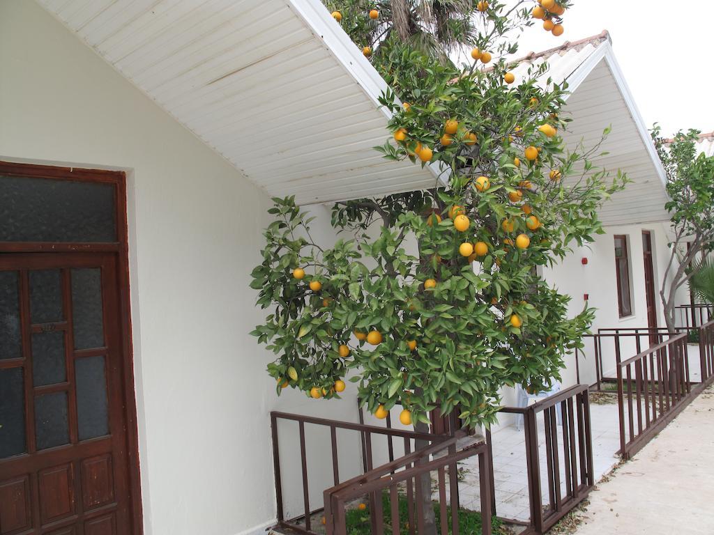 Dream Park Bungalow Titreyengol Esterno foto