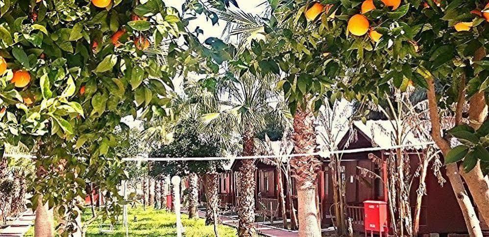 Dream Park Bungalow Titreyengol Esterno foto