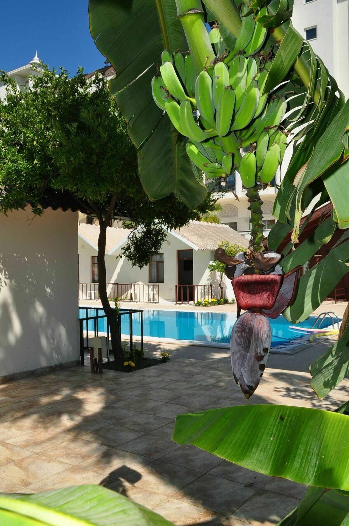 Dream Park Bungalow Titreyengol Esterno foto
